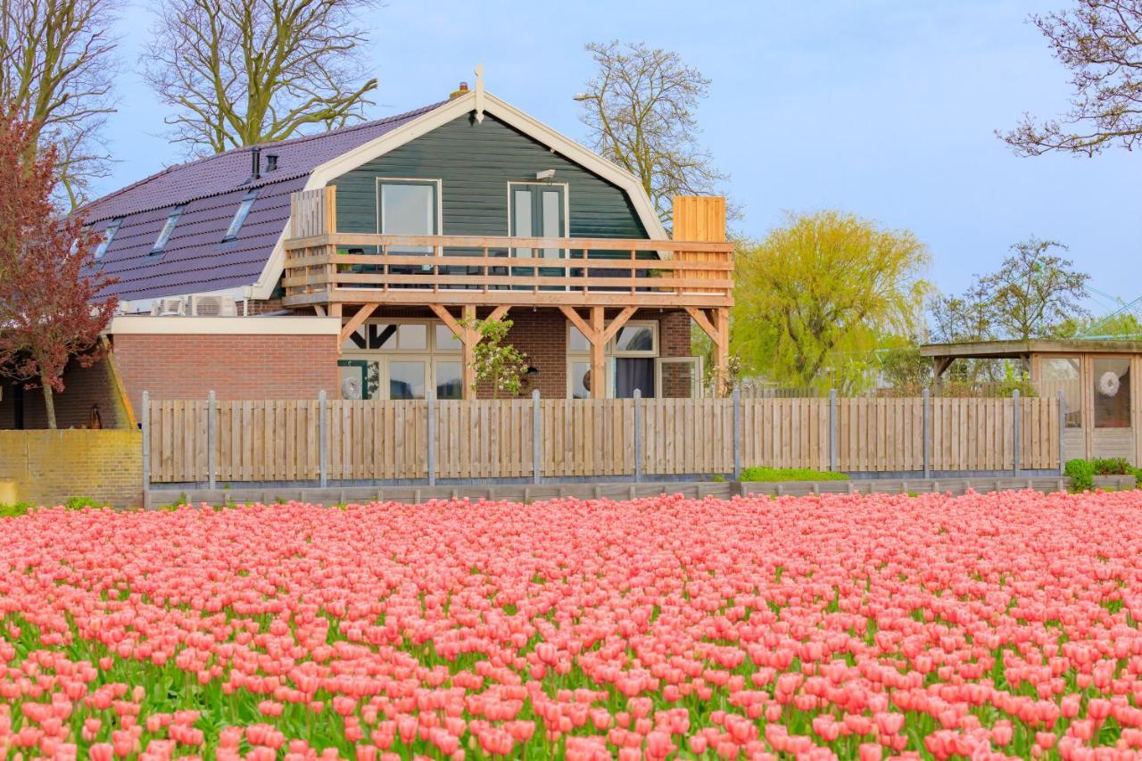 B&B Blossom Lisse Exterior foto